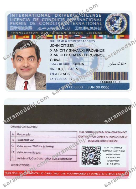 INTERNATIONALdl (version2)